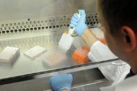 Томские медики научились по ДНК определять место рождения человека