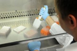 Томские медики научились по ДНК определять место рождения человека