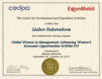 Президент Фонда Любовь Федоренкова вернулась из Индонезии, где приняла участие в Global Women in Management Workshop (GWIM 57), организованном международной некоммерческой организацией the Centre for Development and Population Activities (CEDPA) при финансовой поддержке Exxon Mobil. 