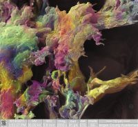 Фестиваль «Искусство науки – 2012» и Факультет журналистики МГУ приглашают принять участие в дискуссии-семинаре, посвященном открытию science-art фотовыставки «Наука – это красиво!»